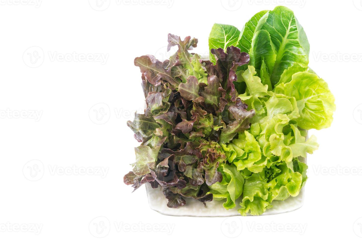 Salade