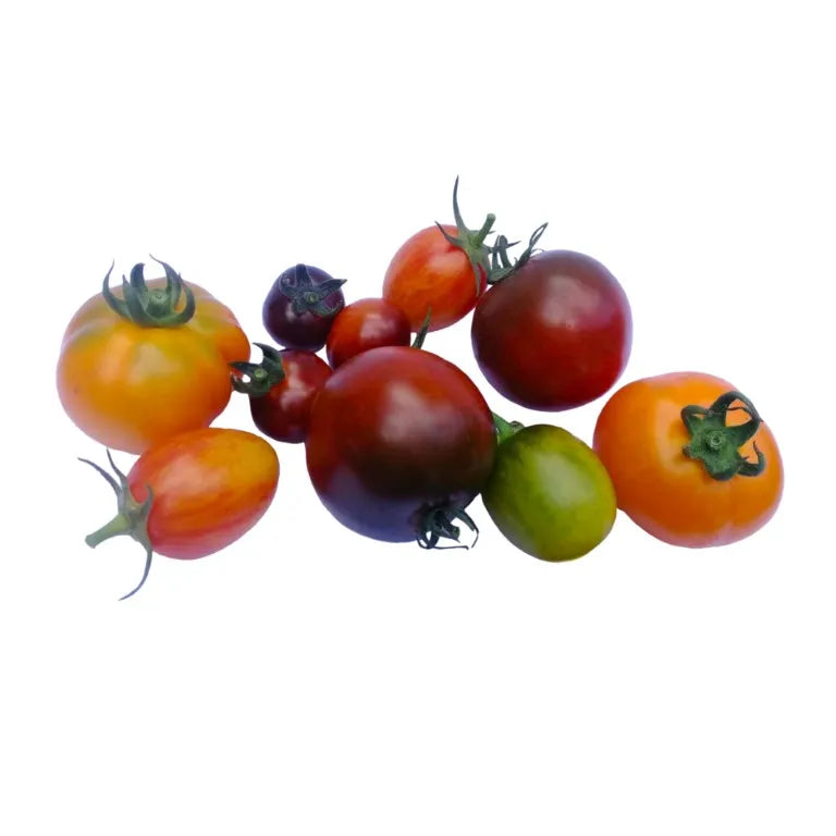 Oude tomaten soorten 250g